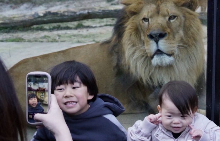 「カメラ目線」 辻 重樹-crop