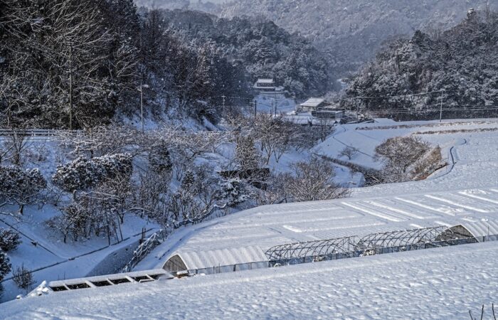 「志和の雪景色」 吉岡 嘉之_DSC00306_RDSC00306jpgCRawEdit2_T_R_R